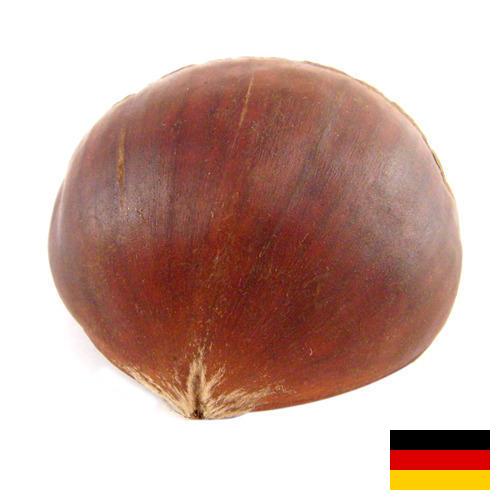 Каштан из Германии