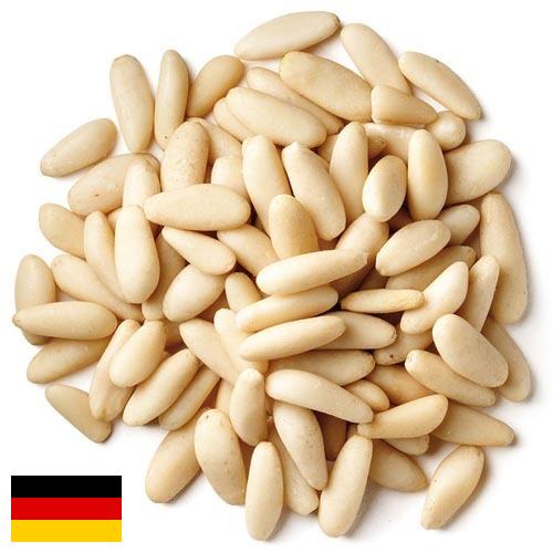 Кедровые орехи из Германии