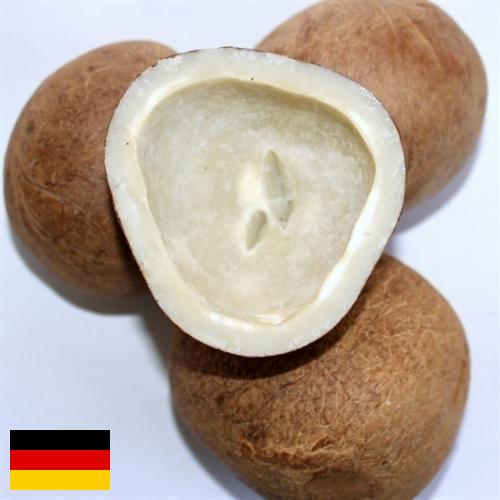 Кокос сушеный из Германии
