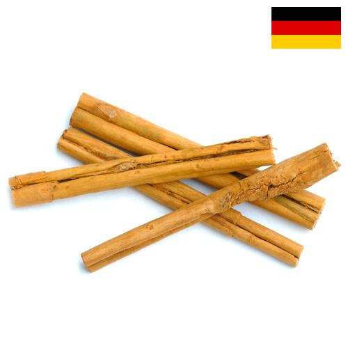 Корица из Германии