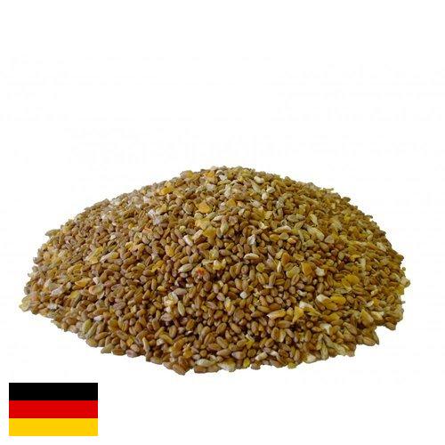 Корма для птицеводства из Германии