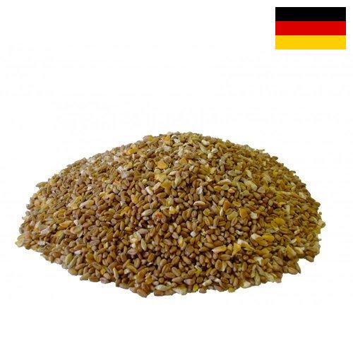 Корма для птицы из Германии