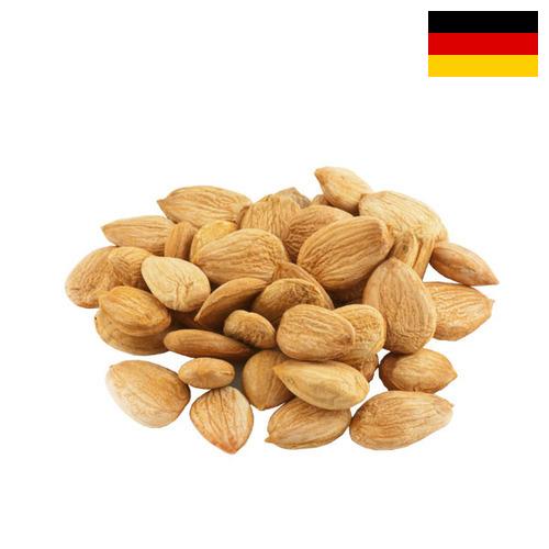 косточки абрикоса из Германии