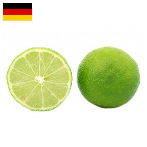 лайм из Германии