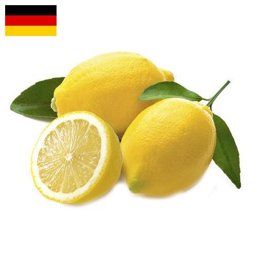 лимон свежий из Германии