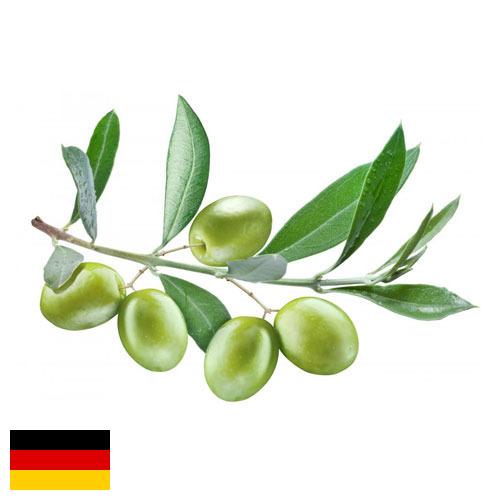 Маслины из Германии
