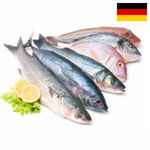 Морепродукты из Германии