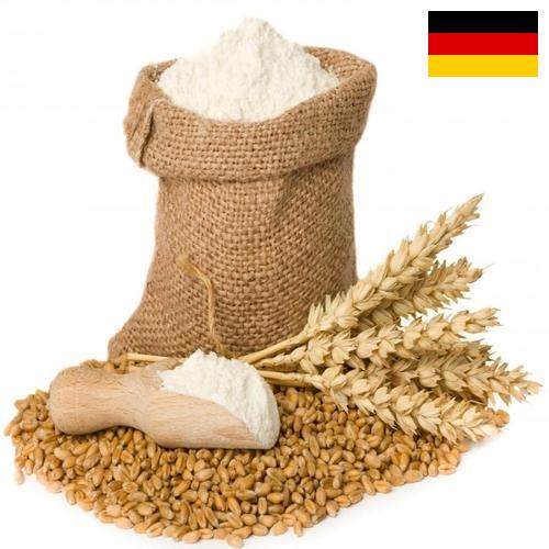 мука пшеничная хлебопекарная из Германии