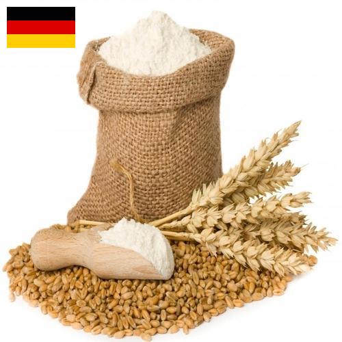 мука пшеничная первый сорт из Германии