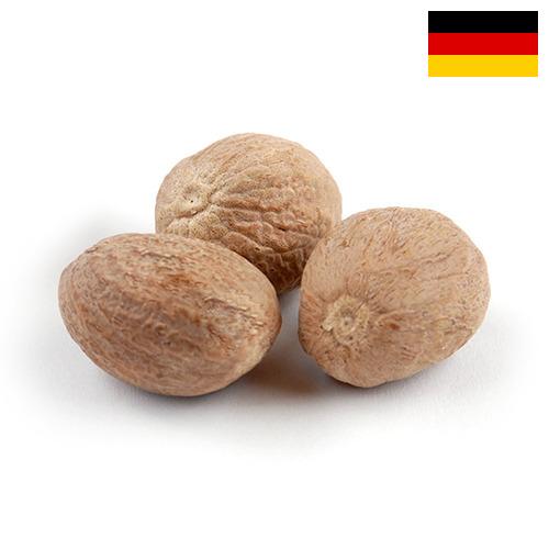 Мускатный орех из Германии