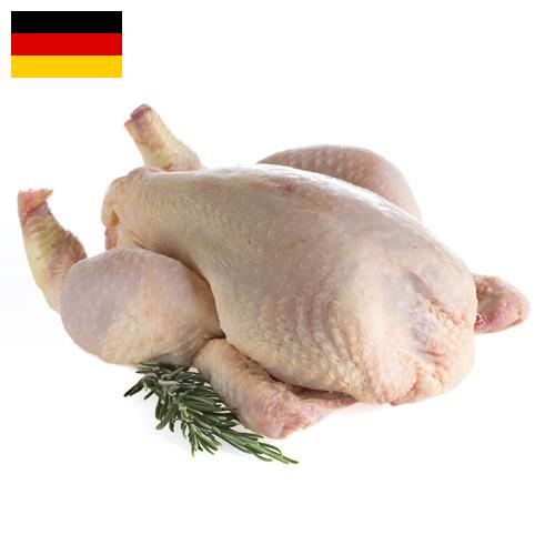 мясо птицы тушка из Германии