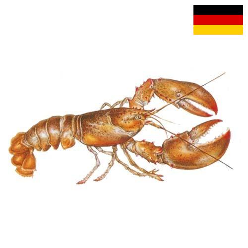 Омары из Германии