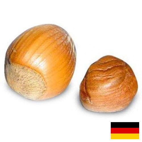 орех фундук из Германии