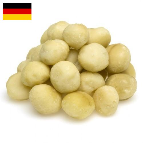 Орехи макадамия из Германии