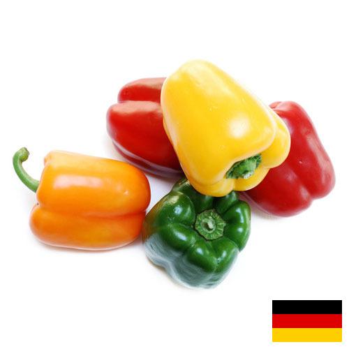 перец сладкий свежий из Германии