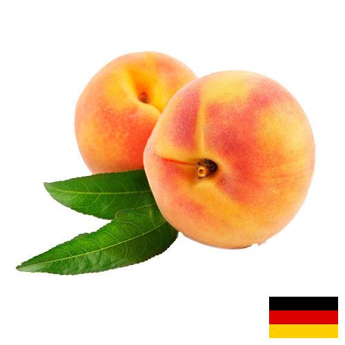 Персики из Германии