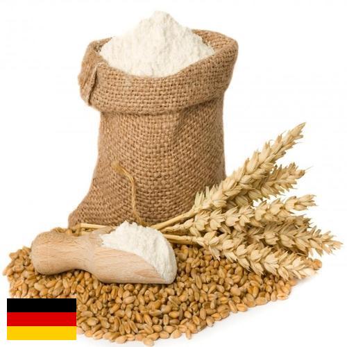 Пшеничная мука из Германии