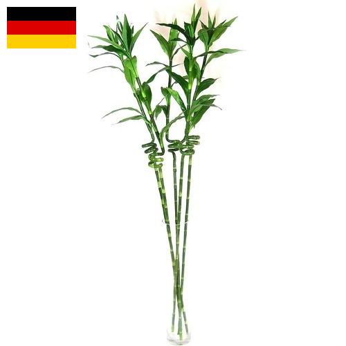 Растения искусственные из Германии