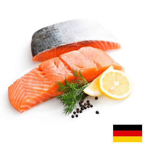 рыбное филе из Германии