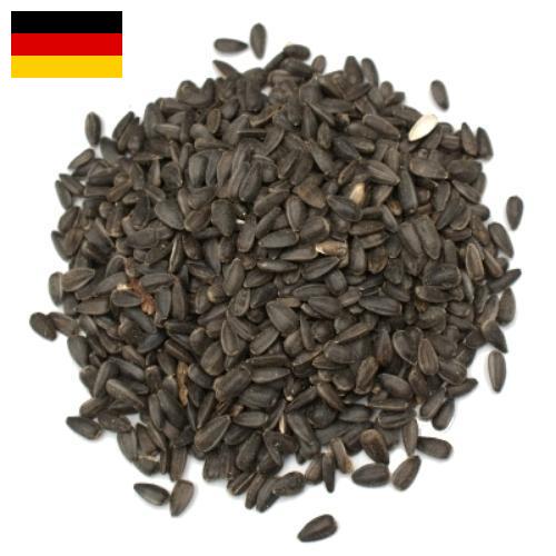 Семена цветов из Германии