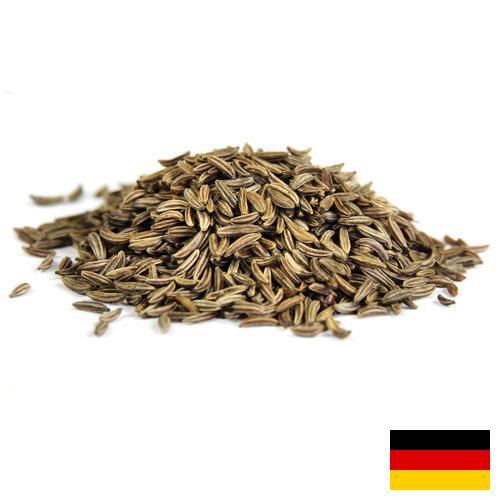 Семена фенхеля из Германии