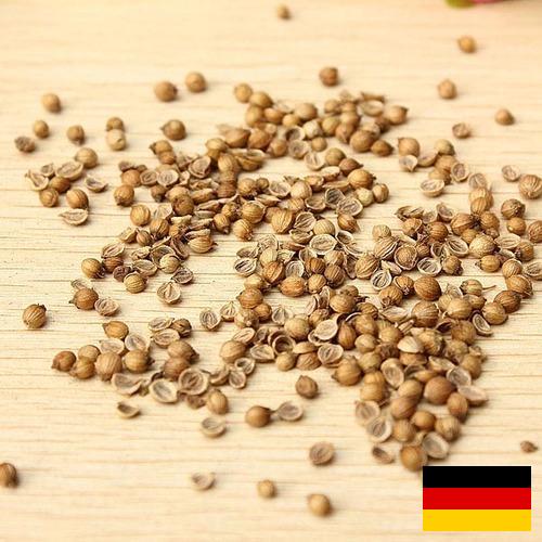 Семена овощей из Германии