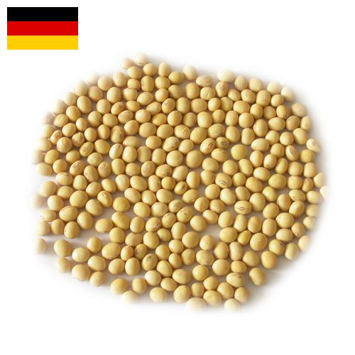 Семена сои из Германии