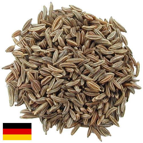 Семена тмина из Германии