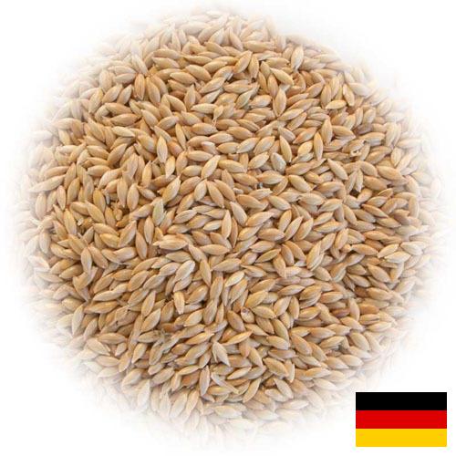 семена трав из Германии