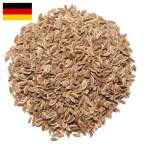 Семена укропа из Германии