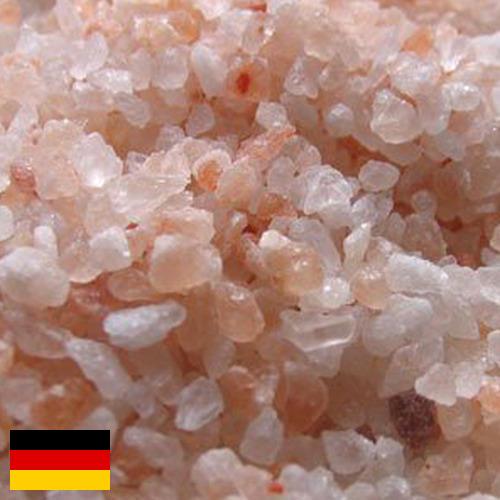 соль каменная из Германии