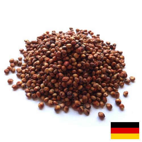 Сорго из Германии