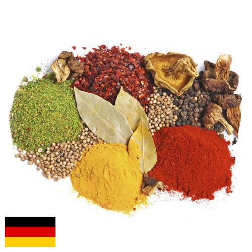 Специи и пряности из Германии