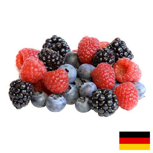 сублимированные ягоды из Германии