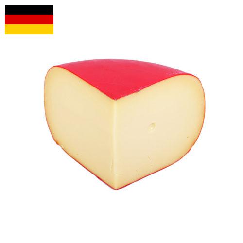 сыр гауда из Германии