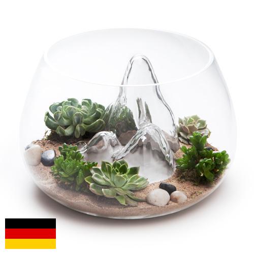 Террариумы из Германии