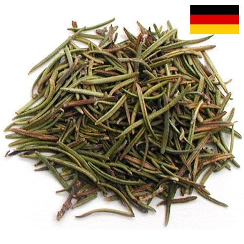Травы сушеные из Германии