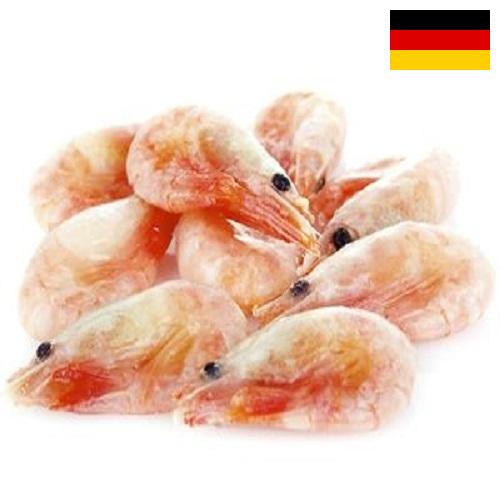 замороженные креветки из Германии