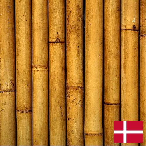 Бамбук из Дании