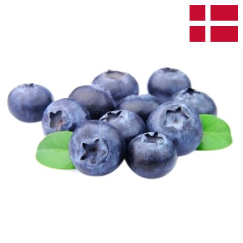 Голубика из Дании