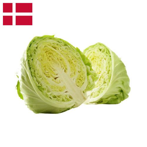Капуста из Дании