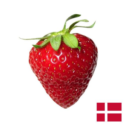 Клубника из Дании