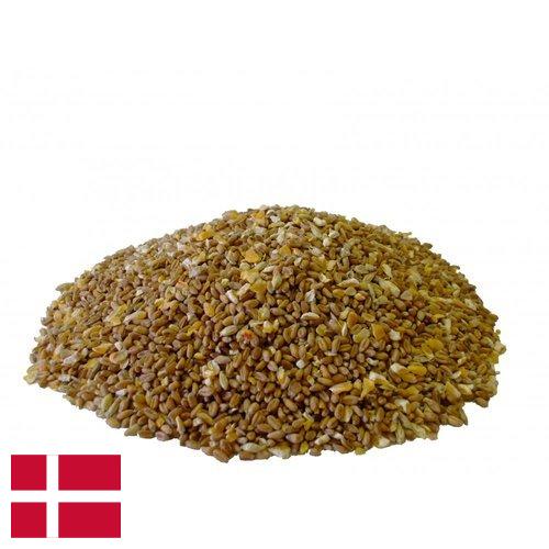 Корма для птицы из Дании