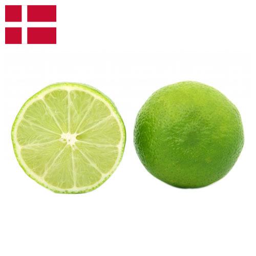 лайм из Дании