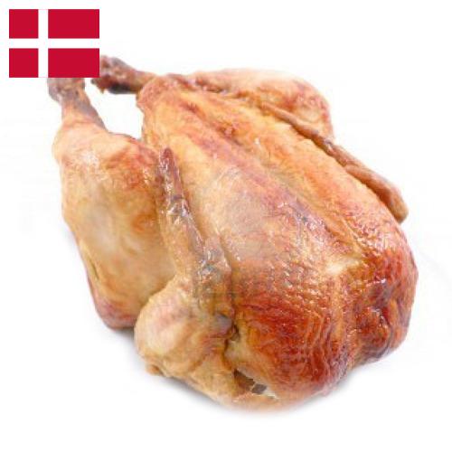 мясо куриное из Дании