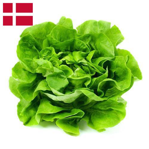 салат из Дании