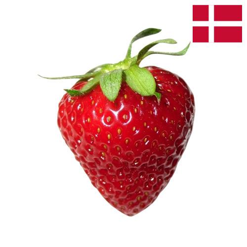 Земляника из Дании