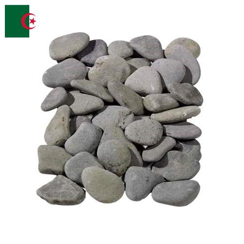 косточки из Алжира