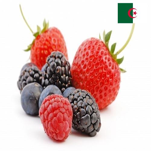 Ягоды из Алжира