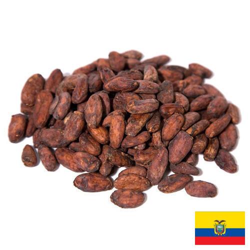какао бобы из Эквадора